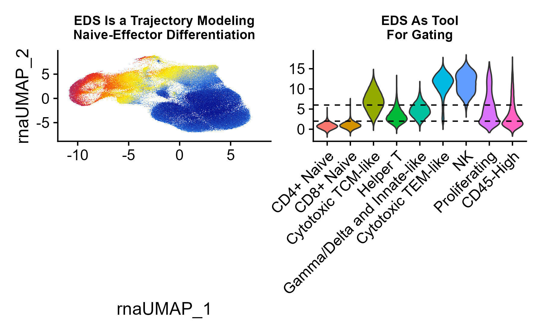 UMAP plot of T and NK cells colored based on Effector-Differentiation Score